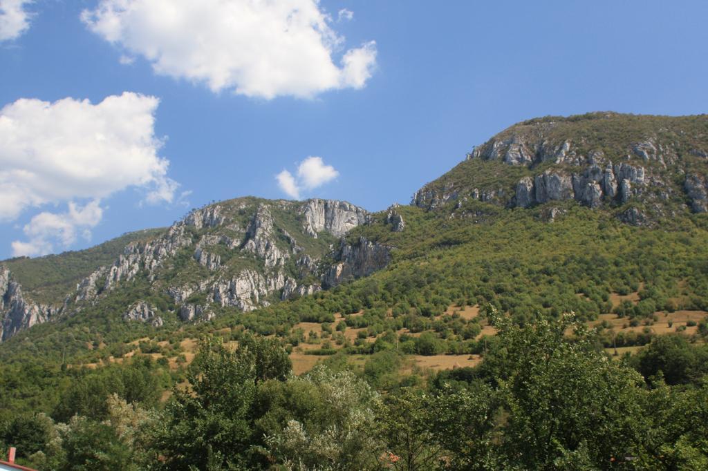 Pensiune Safrane Бэиле-Еркулане Номер фото